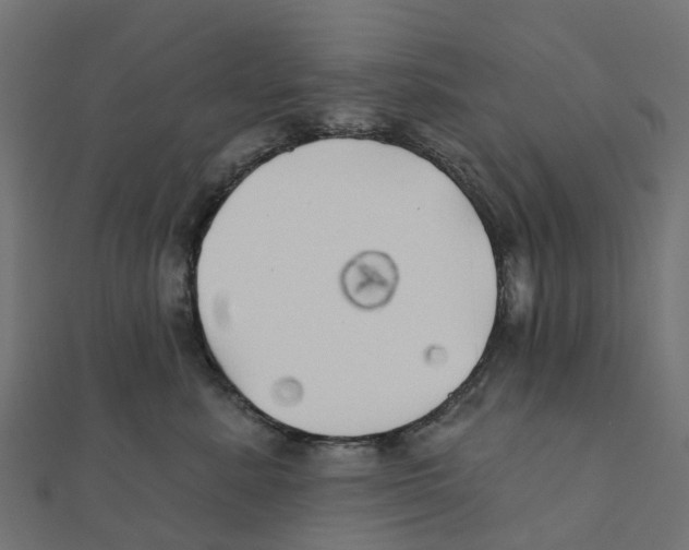 X0000111240619200907301308