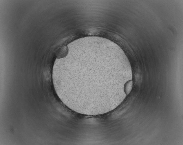 X0000111240620200907301308