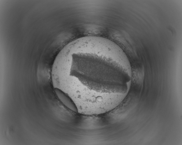 X0000111240621200907301308