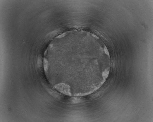 X0000111240623200907301308