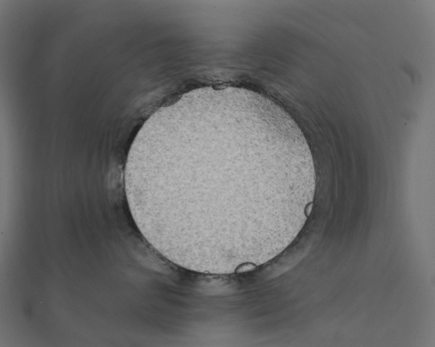X0000111240624200907301308