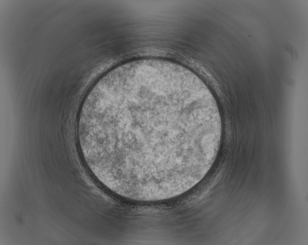X0000111240625200907301307