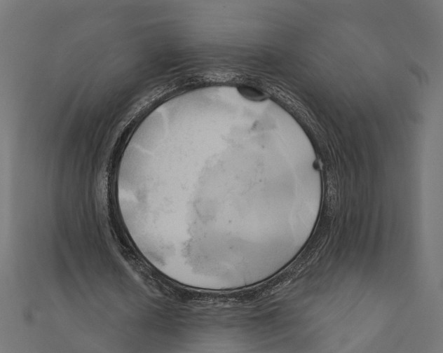 X0000111240626200907301307