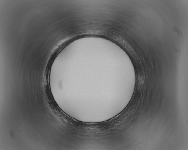 X0000111240628200907301307