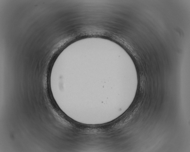 X0000111240629200907301307
