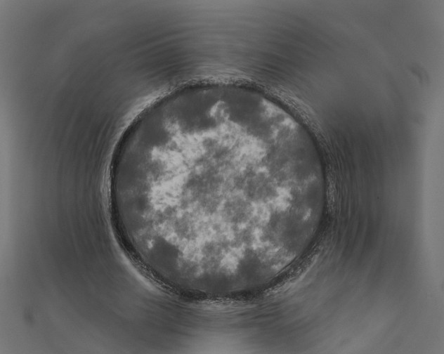 X0000111240630200907301307