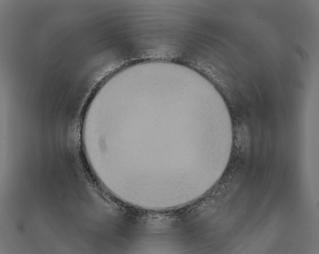 X0000111240632200907301307