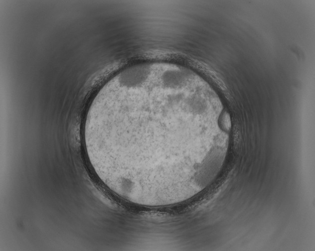 X0000111240633200907301307