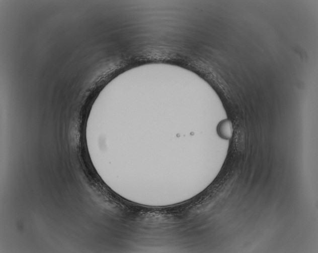 X0000111240635200907301307