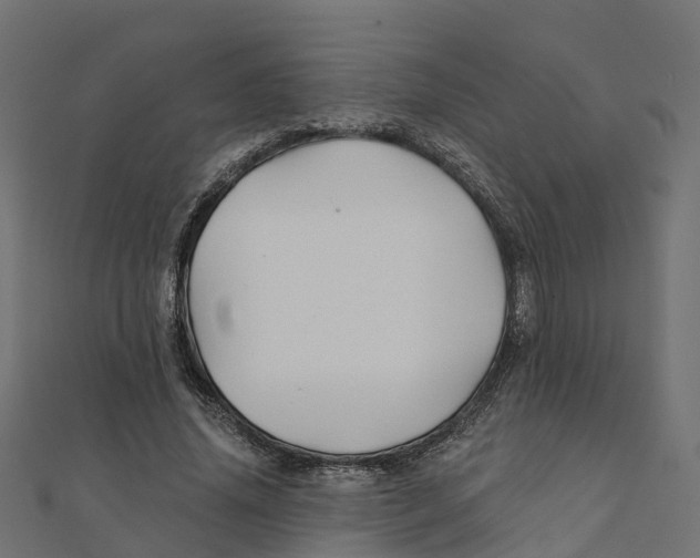 X0000111240636200907301307