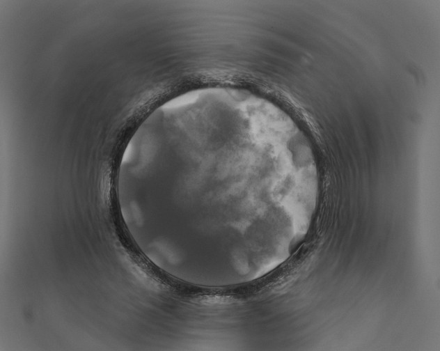 X0000111240637200907301307