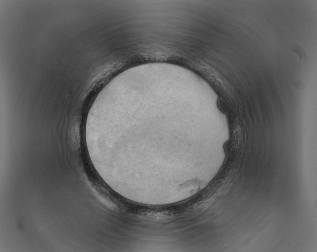 X0000111240638200907301307