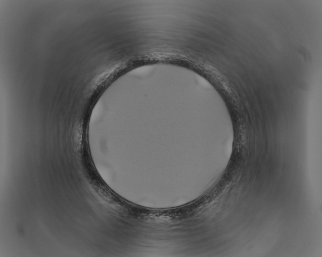 X0000111240640200907301307