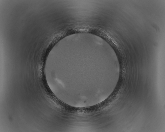 X0000111240641200907301307