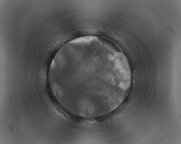X0000111240642200907301307