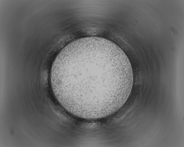 X0000111240646200907301307