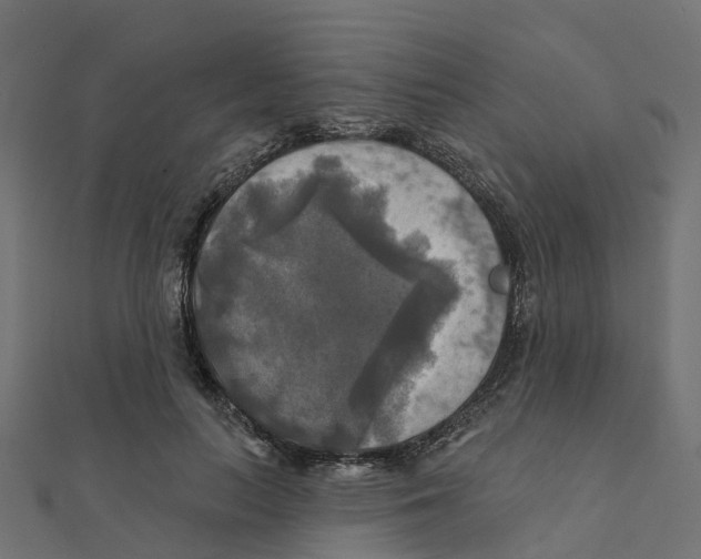 X0000111240647200907301307