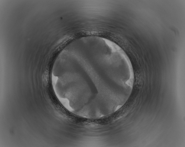 X0000111240648200907301307
