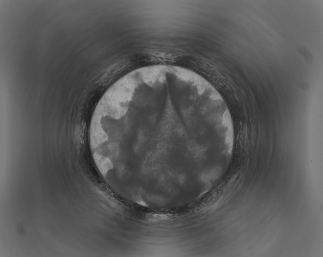 X0000111240649200907301307