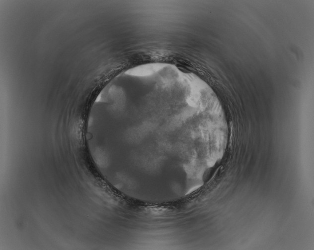 X0000111240650200907301307