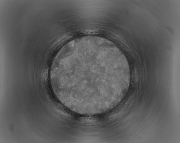 X0000111240652200907301307