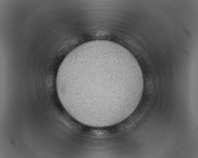 X0000111240654200907301307