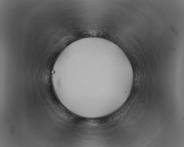 X0000111240656200907301307