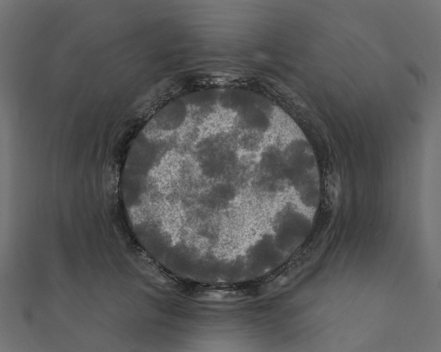 X0000111240657200907301307