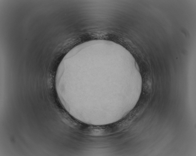 X0000111240658200907301307