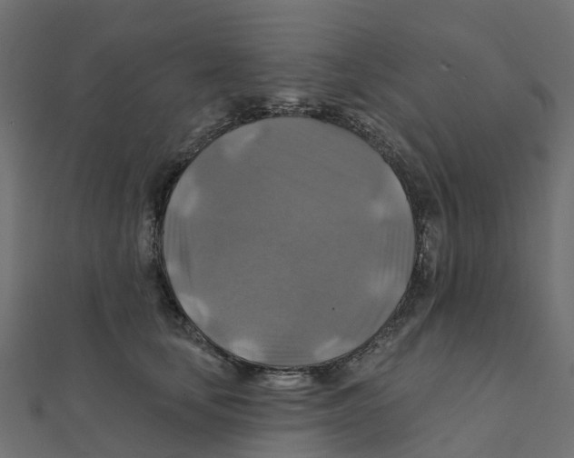 X0000111240659200907301307