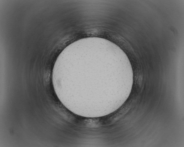 X0000111240660200907301307