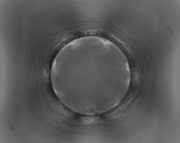 X0000111240661200907301307