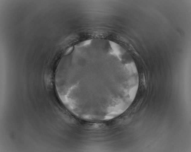 X0000111240663200907301307