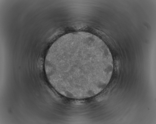 X0000111240664200907301307