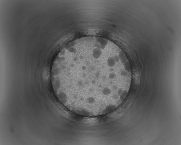 X0000111240665200907301307