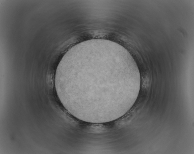 X0000111240666200907301308