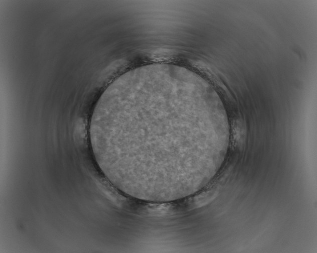 X0000111240667200907301308