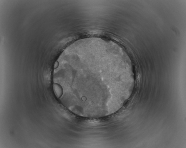 X0000111240668200907301308