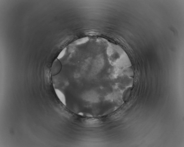 X0000111240669200907301308