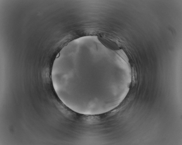 X0000111240670200907301308