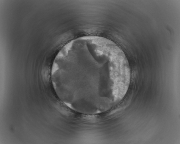 X0000111240671200907301308