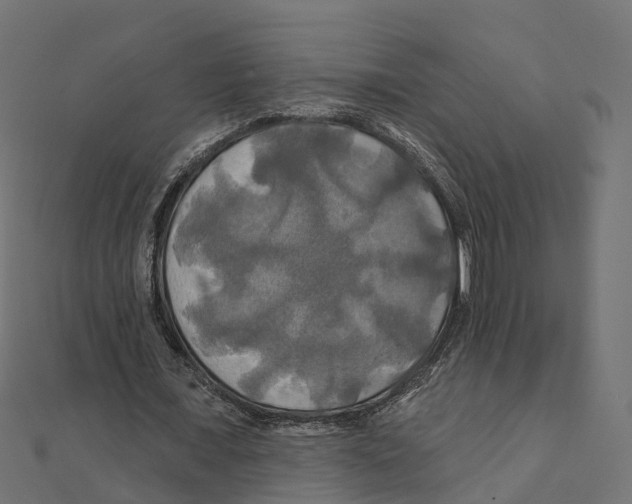 X0000111240675200907301307