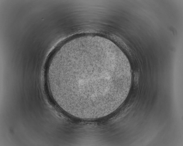 X0000111240676200907301307