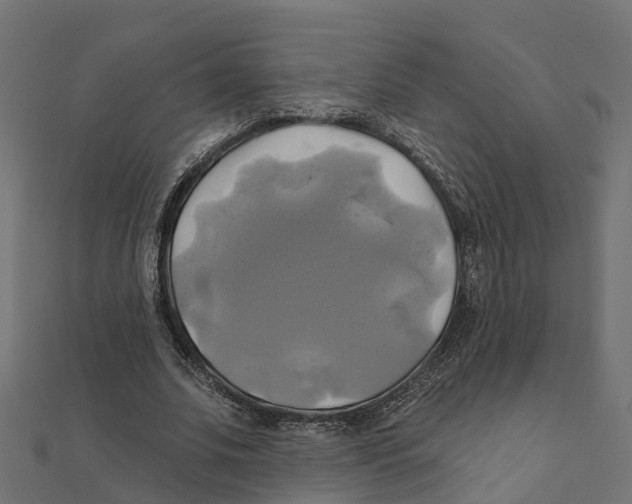 X0000111240679200907301307