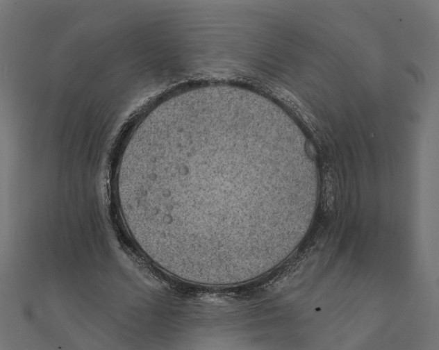 X0000111240680200907301307