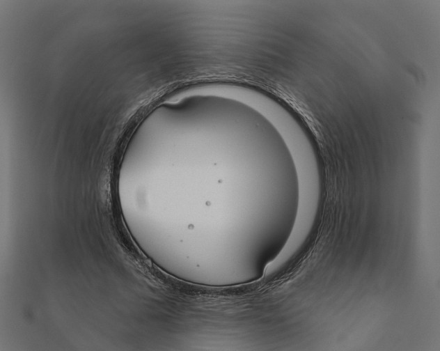 X0000111240681200907301307