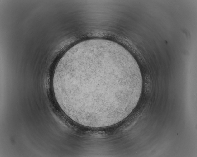 X0000111240683200907301307