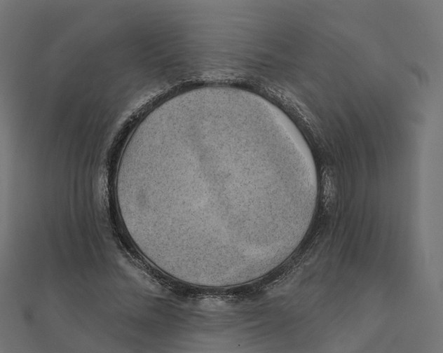 X0000111240684200907301307