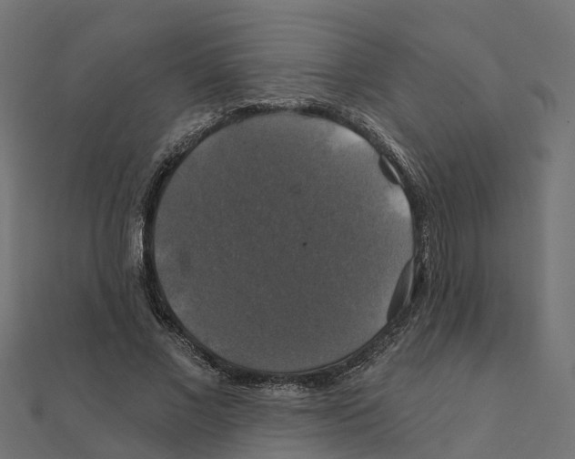 X0000111240685200907301307