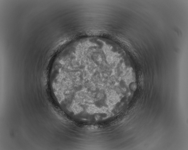 X0000111240687200907301307
